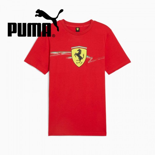 »óǰ ¼¶³×ÀÏ »óǰ ¼¶³×ÀÏ