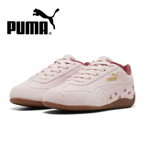 »óǰ ¼¶³×ÀÏ »óǰ ¼¶³×ÀÏ