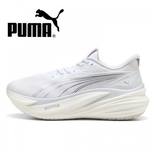 ��ǰ ������